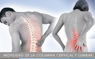 Movilidad de la columna cervical y lumbar